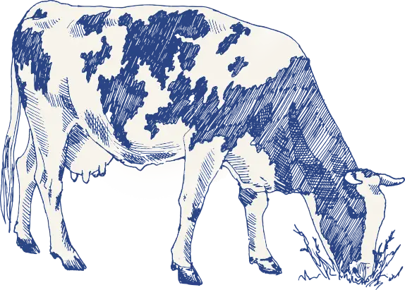 belle vache logo