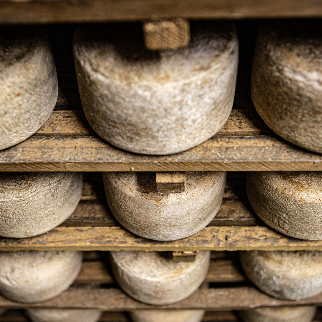 affinage-fromage-brebis-3