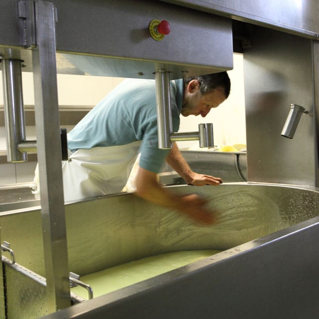 ossau-iraty-fromage-brebis