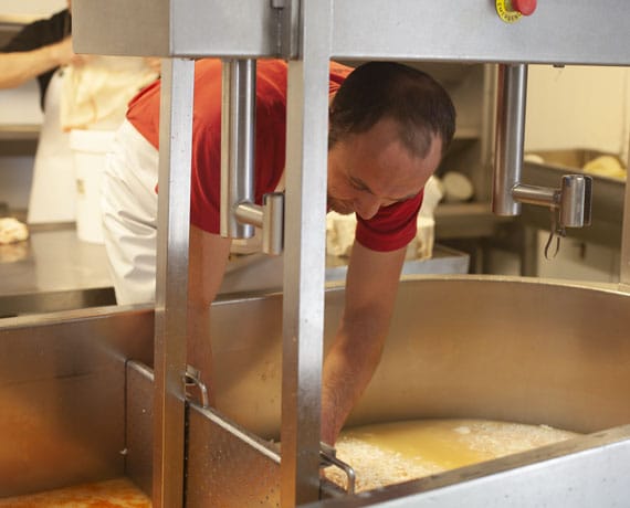 preparation-fromage-brebis